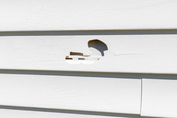 Best Wood Siding Installation  in Queen Creek, AZ