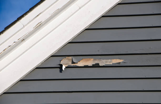 Best Custom Trim and Detailing for Siding  in Queen Creek, AZ