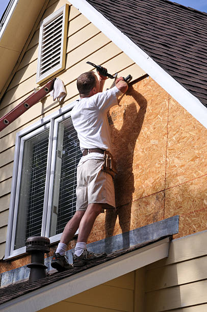 Best Storm Damage Siding Repair  in Queen Creek, AZ